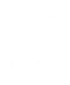 Logo La Birra Bar